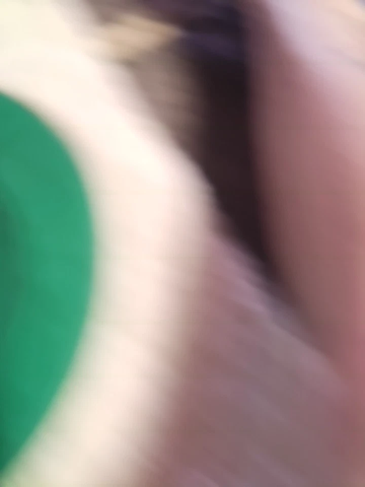 PLACAS DE VIDRIO ESMERILADO VERDE IVV 13' - 5 PLACAS IVV verdes hechas en italia Foto 3 de 4