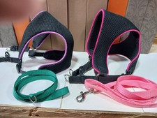 Lot Of 2 Dog Leashes And 2 Harnesses