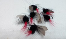 Oregon Waters Fly Co Fairy Trout Flies Black Gnat size 12 Fly Fishing Lure 6pc