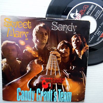 CANDY GRANT's TEAM sweet Mary / Sandy German pop rock PICTURE SLEEVE 45 e5572