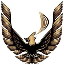 Pontiac Firebird Trans Am Vintage American Muscle Car Vinyl Sticker Decal Hood