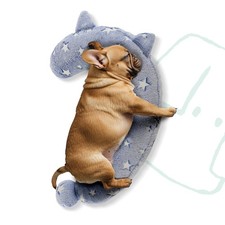 Dog Calming Pillow, Glow in The Dark Dog Put Head on, Soft Question Mark Pill...