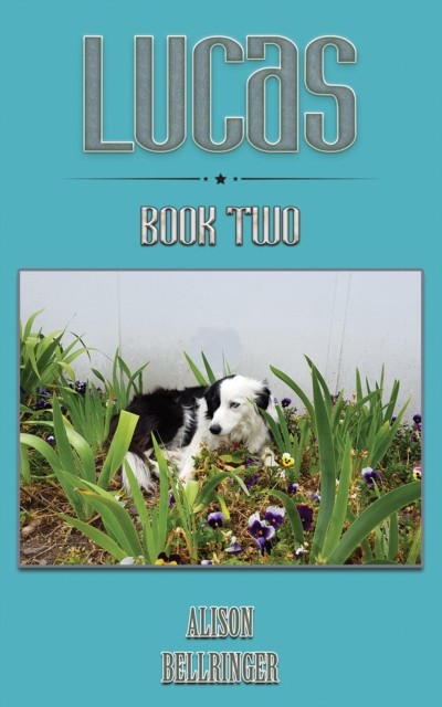 Lucas by Alison Bellringer (Paperback Book)