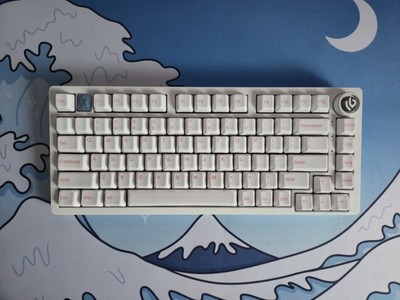 Leobog Hi75C + Cerakeys Ceramic Keycaps || Wireless/Wired 75%  Creamy Keyboard