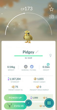 Shiny Pidgey Pokemon Go