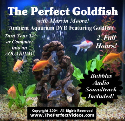 2) DVD'S REAL AQUARIUM FIREPLACE 2PK Combo Deal