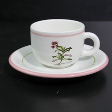 EXCELLENT PRIMULA ITALY FLORAL CHIMAPILA UMBE...
