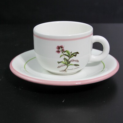 EXCELLENT PRIMULA ITALY FLORAL CHIMAPILA UMBELLATA PATTERN TEACUP & SAUCER PAIR