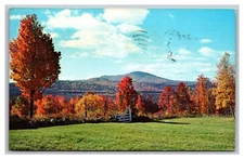 Warner NH Mt. Kearsarge Fall Foliage  Chrome Postcard Posted 1976
