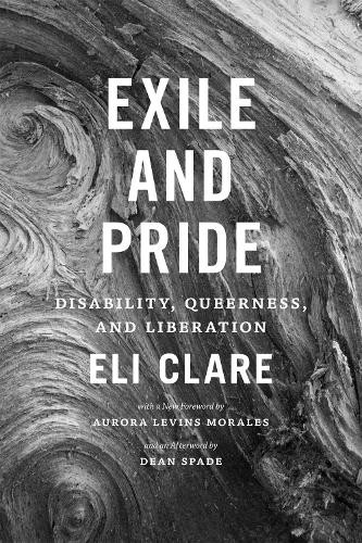Exile and Pride: Disability Queerness and Liberation by Eli Clare (PB 2015) - Image 3