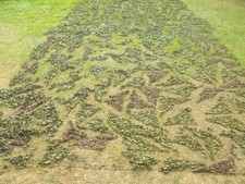 Ex British Army - Camouflage netting, cam net. 5.5m x 11m MK 7 woodland cam net.