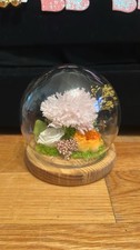 preserved flowers in glass dome