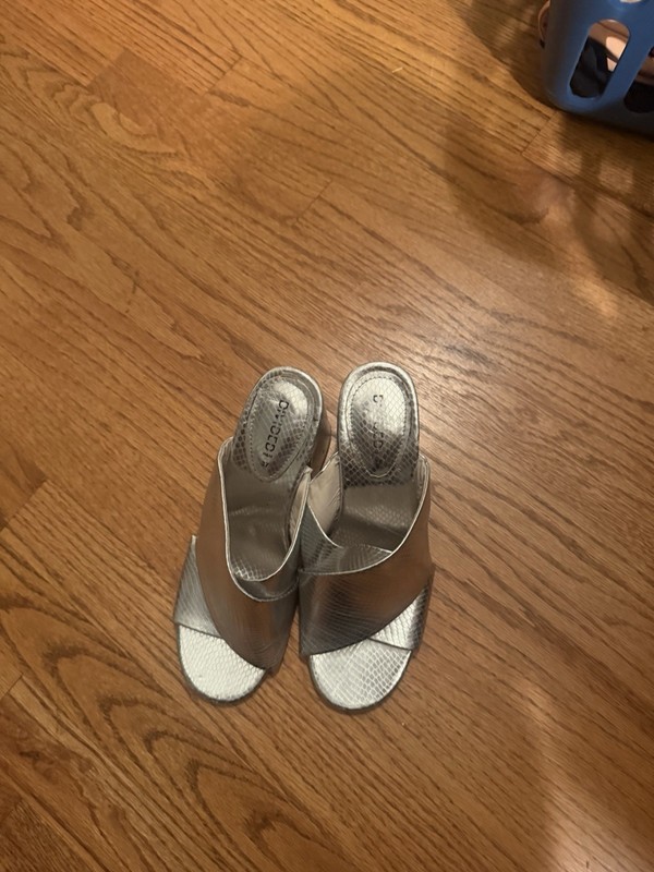 Silver Shoe Size 6