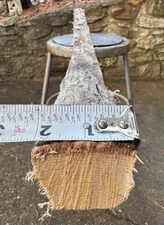 67” Hickory Bow Stave/ Bow Making Wood/ Bow Staves