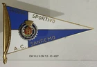 SANREMO AUTOMOBILISMO GROUP SPORTIVO AUTOMOBILE CLUB RADIATOR PLATE CAR