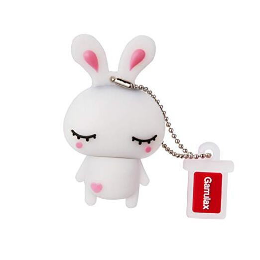 USB Flash Drive, 8GB / 16GB / 32GB / 64GB USB2.0 USB Memory Stick Date Storage-image