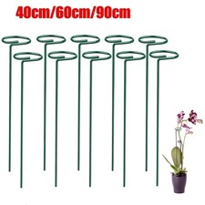 Spiral Plant Support Stakes 45/60/90cm Orchid Rose Metal Single Stem Stake Green