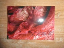 Original Herlinde Koelbl - Art