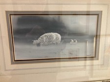 Paul Doyle Original Painting of a Sheep Mounted ready to frame