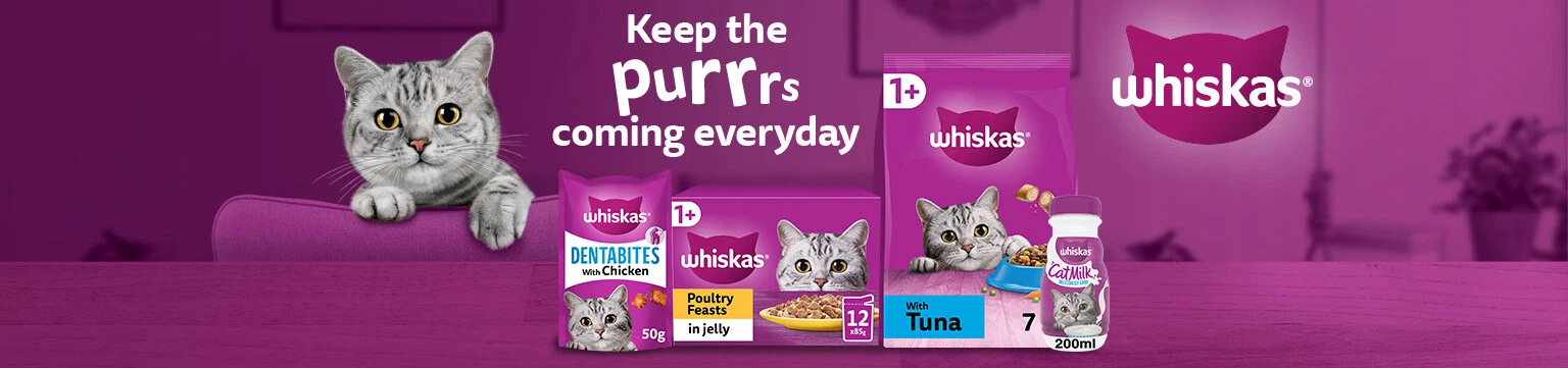 Take them to Purradise