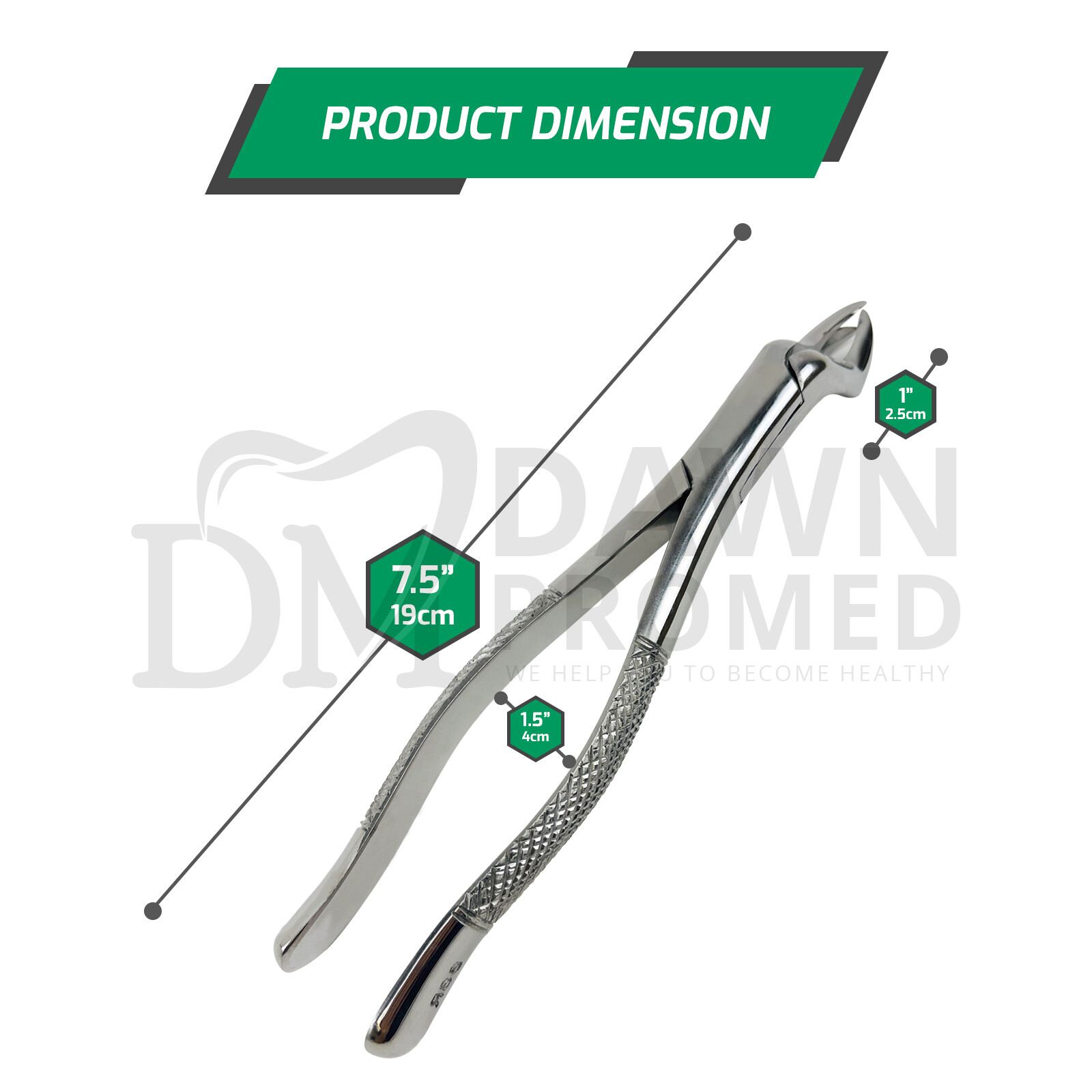 Dental Extracting Forceps 88L & 88R Molar Tooth Extraction Surgical German Grade