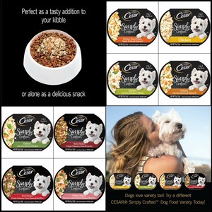 cesar simply crafted