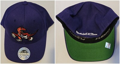 Toronto Raptors NBA Fitted Hat Mitchell & Ness Purple Dinosaur
