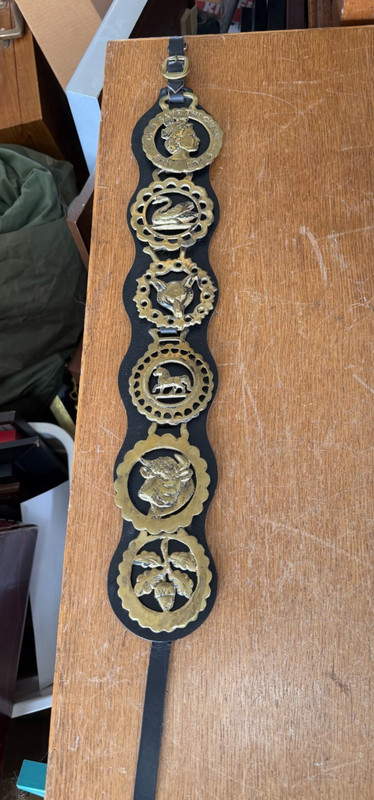 Lot of 6 Vintage Brass Horse Parade Medallions Medals on Leather Martingale