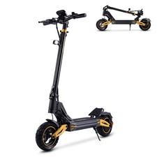 HOT TWOFISH 10in Foldable Off Road Electric Scooter 48V 17AH 50-60 Range V2 MAX