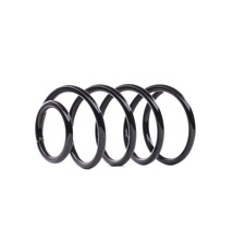 Ressort divers Ford FOCUS