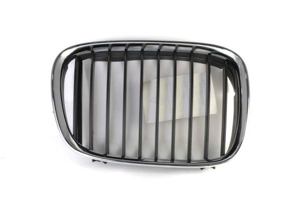 Right Front BLIC 6502-07-0065992P Radiator Grille for BMW