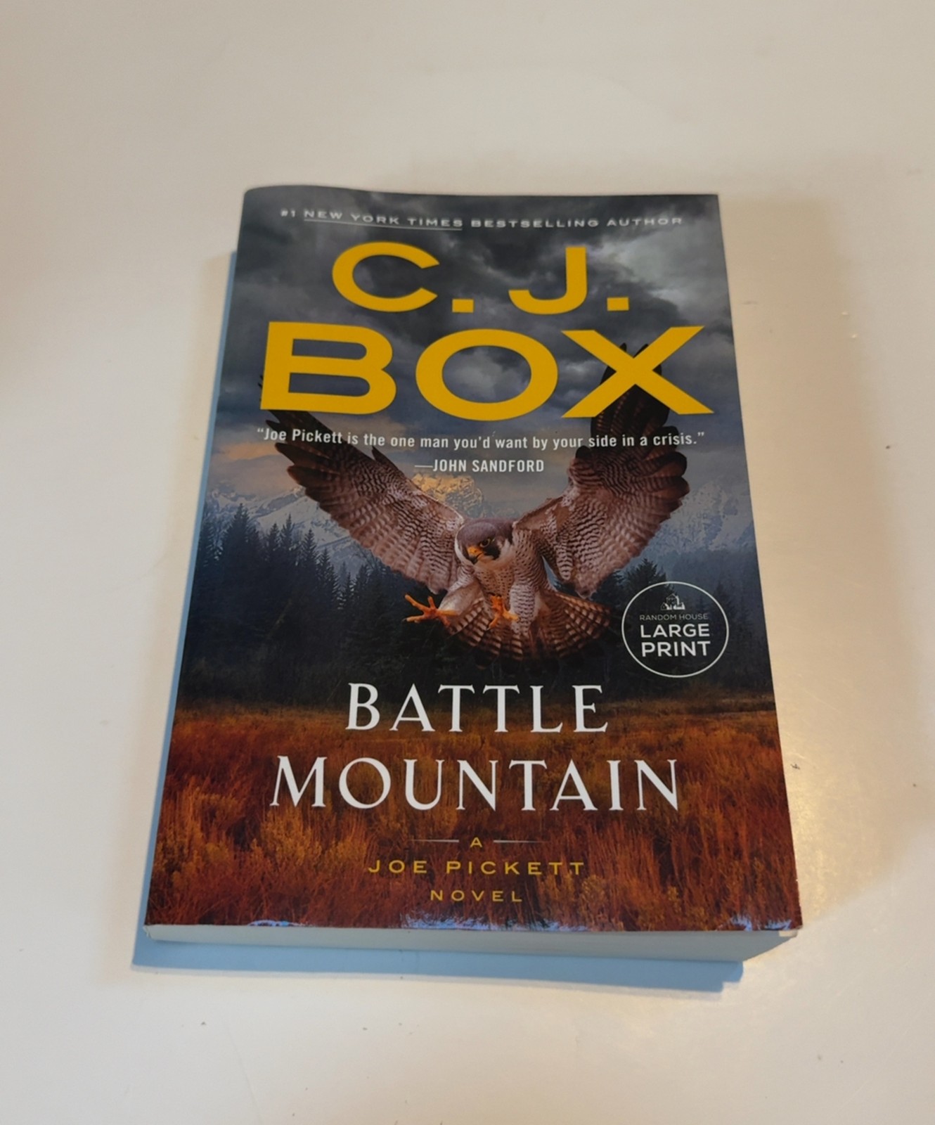 Battle Mountain (A Joe Pickett Novel)