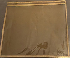 Clear Plastic front zipper bag with gold organza cloth backing