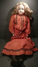  on The Hot Collector