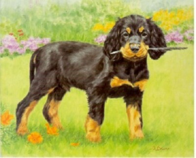 Gordon Setter Puppy Limited Edition Art Print by UK Artist Sue Driver #42*