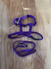 Dog Harness & Leash Medium
