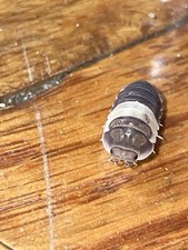 25 Dairy Cow Isopods And 2 Panda Kings Springtails Incld