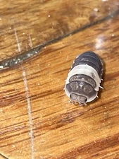 25 Dairy Cow Isopods And 2 Panda Kings Springtails Incld 