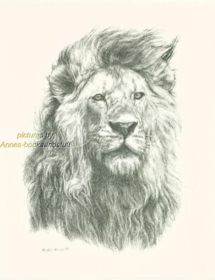 93 LION portrait * wildlife art print * pen & ink drawing by Jan