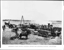 Steam threshing beans on the Centinela Ranch California Old Photo