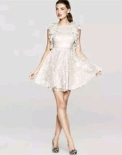 BCBG MAXAZRIA Cynthia Silver Combo Metallic Lace Cocktail Dress size 6