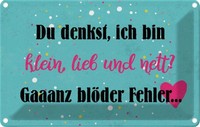Blechschild 12X18 Cm Du Denkst Ich Bin Klein Lieb Dekoration Spruch Zitat Deko G