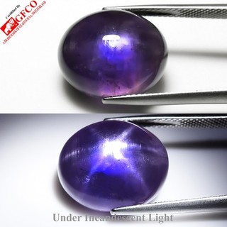 💎 CERTIFIED RARE 27.54ct Oval Natural 6 Ray Star Sapphire Unheated Sri Lanka