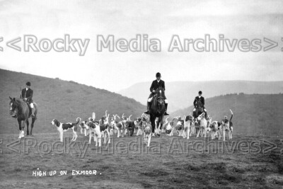 fuu-16 Jagd, Pferd und Hunde, hoch oben auf Exmoor, Devon. Foto