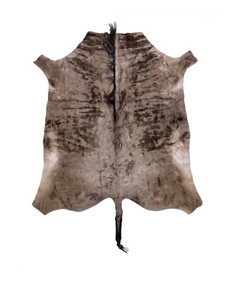 Authentic Blue Wildebeest Game Hide - New Exotic Fur Rug - Located in US