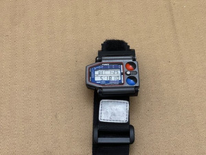 Timex Skiathlom for sale | eBay