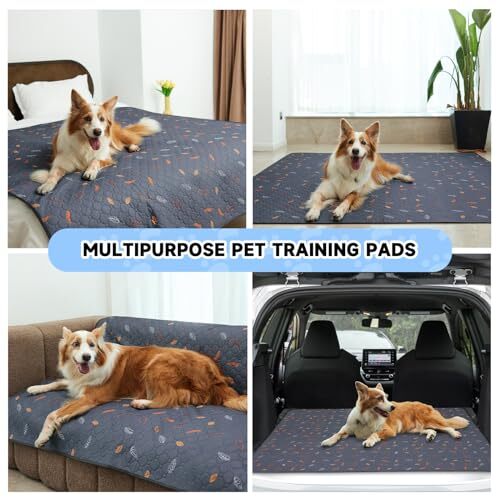 2Pack Extra Large Reusable Dog Mat for Floor, Dog Playpen, NonSlip