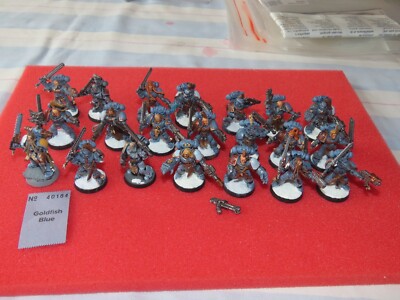 Games Workshop Warhammer 40k Space Wolves Wolf Pack gut bemalt Squad 21 Modelle