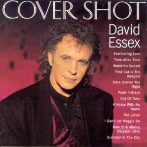 David Essex DAVID ESSEX Cover Shot cassette (Cassette)