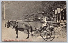Vintage Norwegian Postcard ODDA Hardanger Horse Drawn Cart 1910s